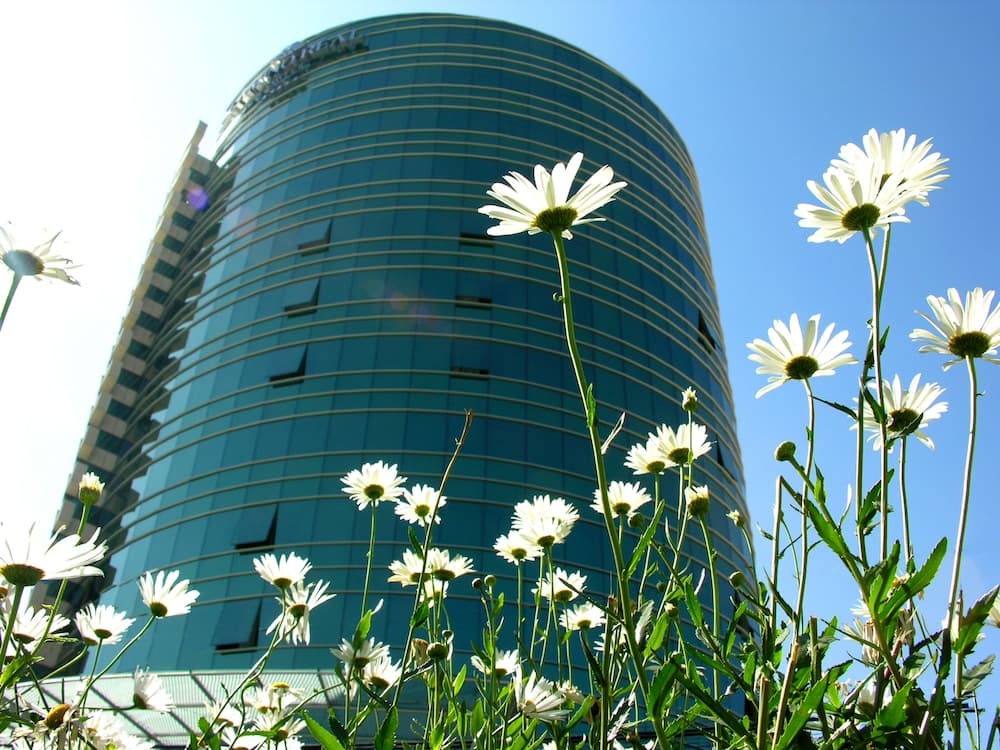 Hotel en La Paz l Suites Camino Real 5*
